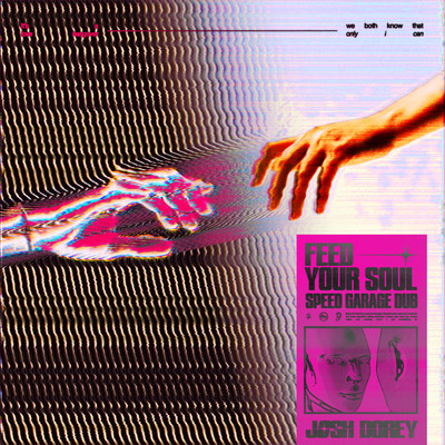 Feed Your Soul (Speed Garage Dub)/Josh Dorey