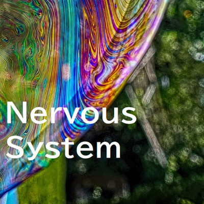 アルバム/Nervous System/Quadrigeminal Bodies