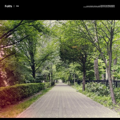 手紙/Folits