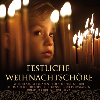 シングル/Schlichte Weisen, Op. 76: No. 52, Maria Wiegenlied/Regensburger Domspatzen & Roland Buchner