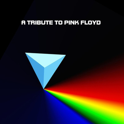 A Tribute To Pink Floyd- Darker Than the Moon/Pink Fraud