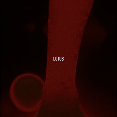 Lotus(Loud edit)/SOMESEEGAIA