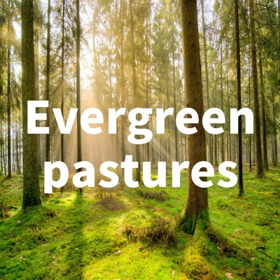 アルバム/Evergreen pastures/TK lab