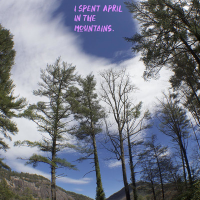 アルバム/I Spent April in the Mountains/The Wicked Lemon