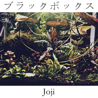 ブラックボックス/Joji