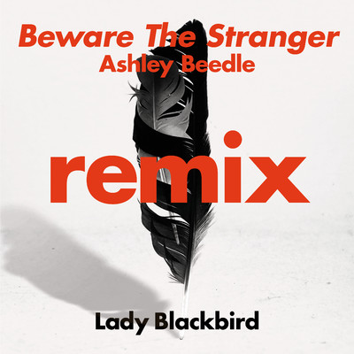Beware The Stranger (Ashley Beedle Remix)/Lady Blackbird
