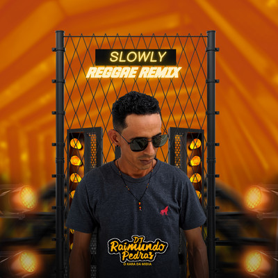 シングル/Slowly (Remix)/Dj Raimundo Pedras O Kara da Midia