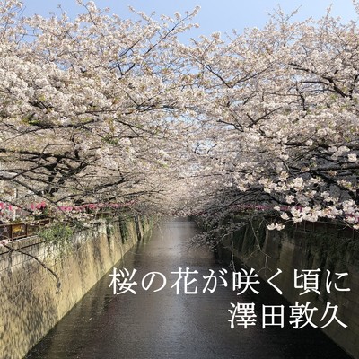 アルバム/桜の花が咲く頃に/澤田敦久