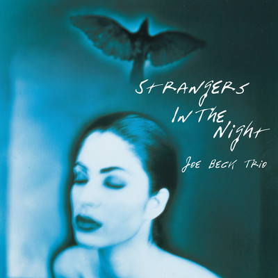 Strangers in the Night/Joe Beck Trio