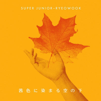 シングル/恋に落ちて/SUPER JUNIOR-RYEOWOOK