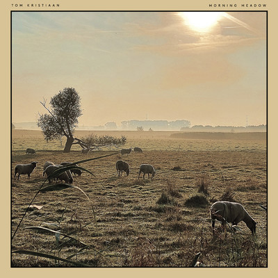 シングル/Morning Meadow/Tom Kristiaan