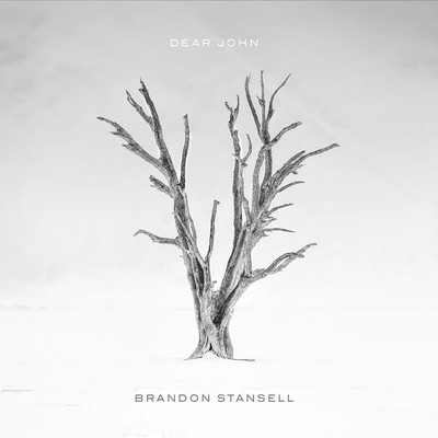 If I Never Loved You/Brandon Stansell