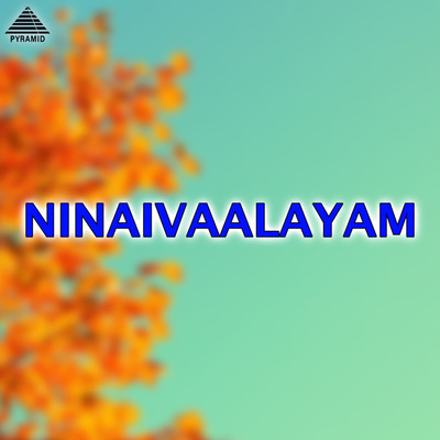 Ninaivaalayam (Original Motion Picture Soundtrack)/Vijay Anand