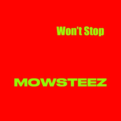シングル/Wont Stop/Mowsteez