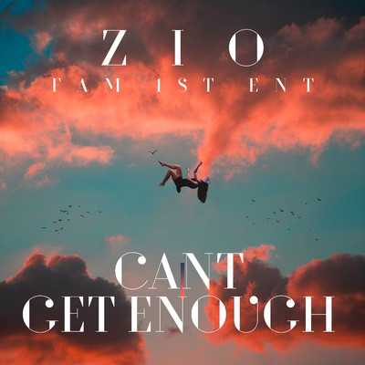 シングル/Cant Get Enough/ZIO