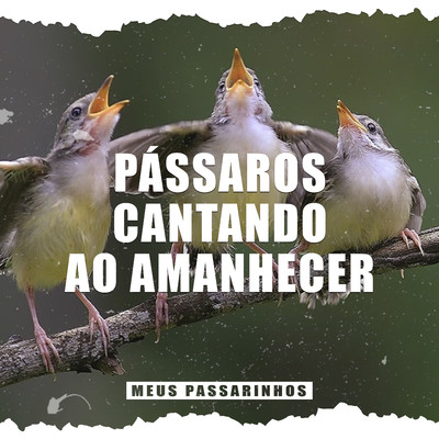 アルバム/Passaros Cantando ao Amanhecer/Meus Passarinhos