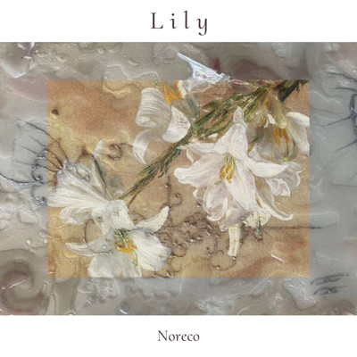 シングル/Lily/Noreco