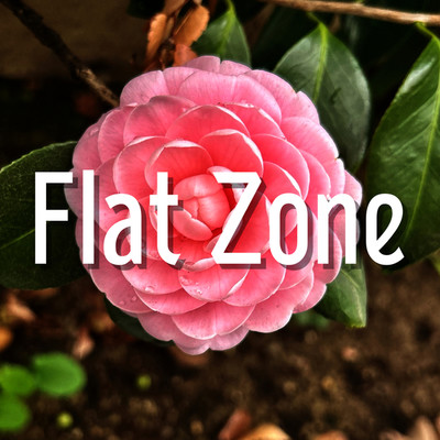 アルバム/Flat Zone/メッタ