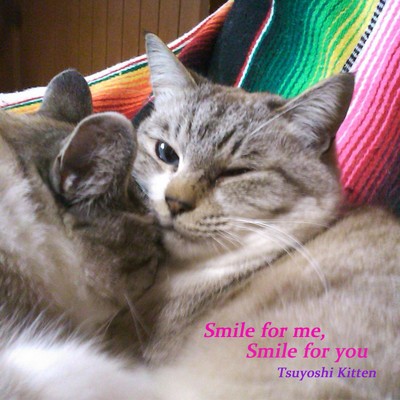 Smile for me, Smile for you/Tsuyoshi Kitten