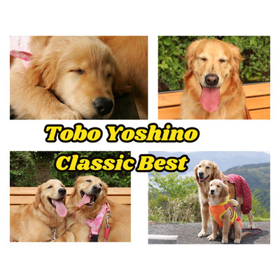 Tobo Yoshino Classic Best 交響曲第9番 新世界より 第2楽章Largo/吉野とぼ