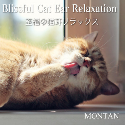 猫と過ごす穏やかな旅/MONTAN