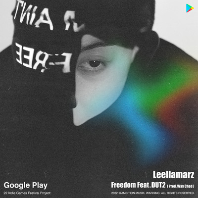 Freedom (Feat. DUT2) (Prod. Way Ched) (featuring DUT2)/Leellamarz