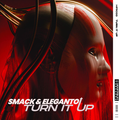シングル/Turn It Up/SMACK & Eleganto