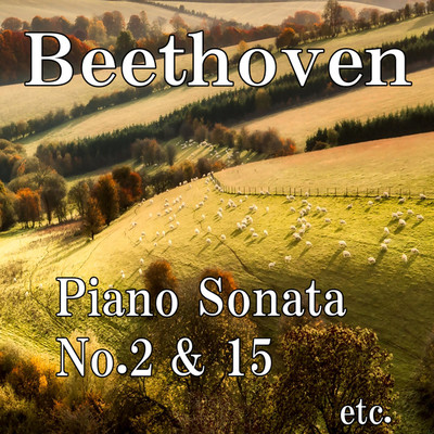 Beethoven: Piano Sonata No.2 & 15, etc./Pianozone 