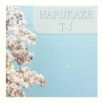 アルバム/HARUKAZE/T-J