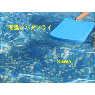 アルバム/間違いバタフライ/KUWA