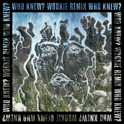 シングル/Who Knew？ (Explicit) (Wookie Remix)/ディスクロージャー／ミック・ジェンキンス
