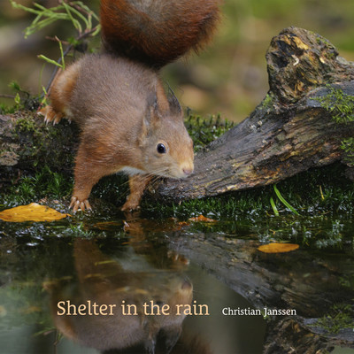 Shelter in the rain/Christian Janssen