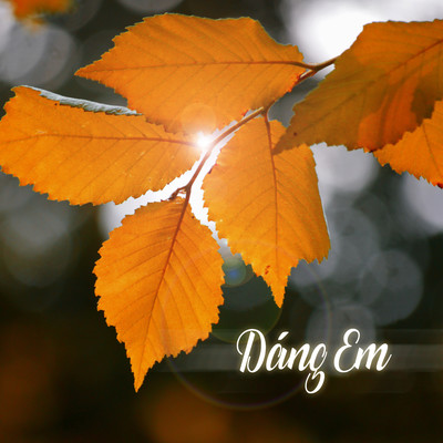 シングル/Dang Em/Hang Han