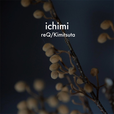reQ／Kimitsuta/ichimi