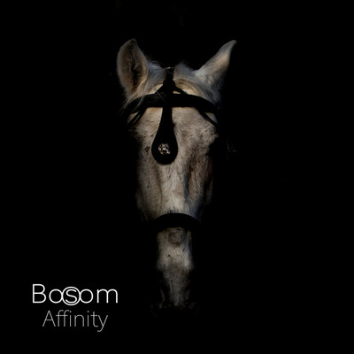 アルバム/Affinity/Bosom