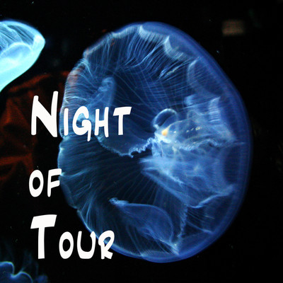 アルバム/Night of Tour/Nijiya