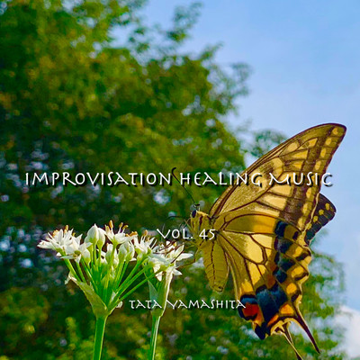 Improvisation Healing Music Vol.45/Tata Yamashita