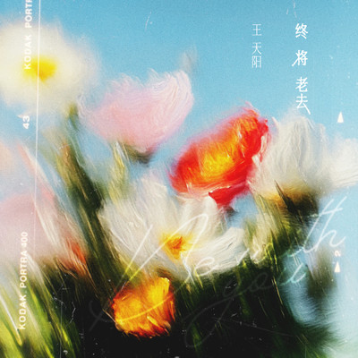 Wang Tian Yang
