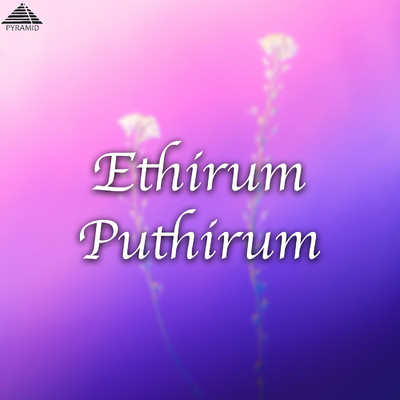アルバム/Edhirum Pudhirum (Original Motion Picture Soundtrack)/Vidyasagar