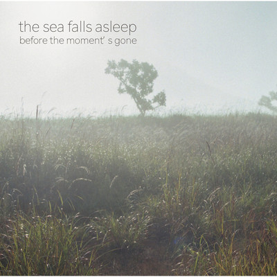 アルバム/before the moment's gone/the sea falls asleep