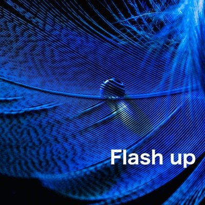 アルバム/Flash up/AKIBA