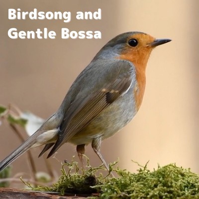 アルバム/Birdsong and Gentle Bossa/Natural Sonic