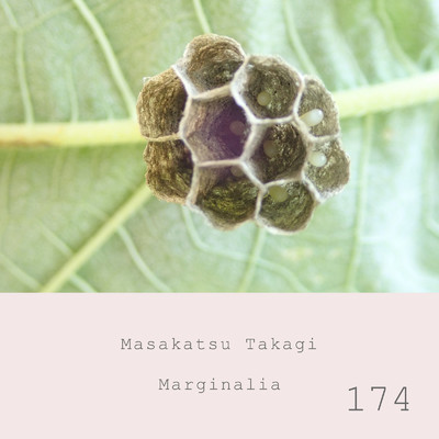 Marginalia #174/高木正勝