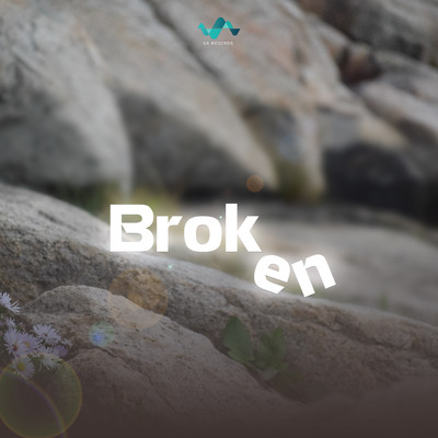 Broken/NS Records