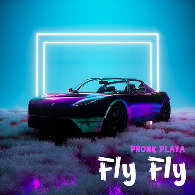 Fly Fly/Phonk Playa