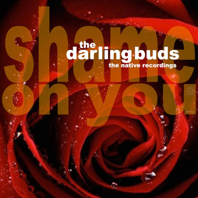シングル/Spin (Flexidisc Version)/The Darling Buds