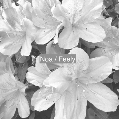 シングル/Feely/Noa