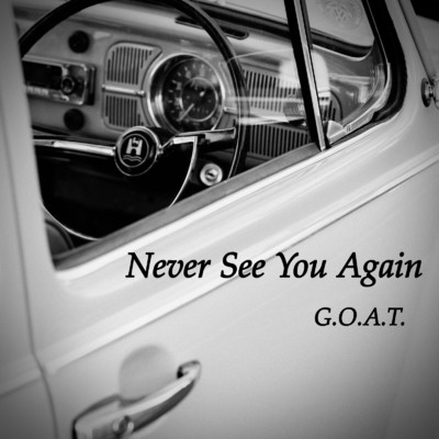 Never See You Again/G.O.A.T.