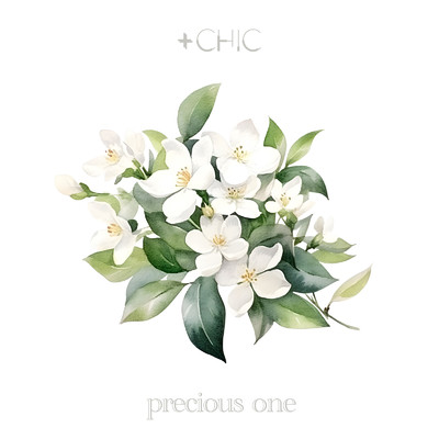 precious one/+CHIC