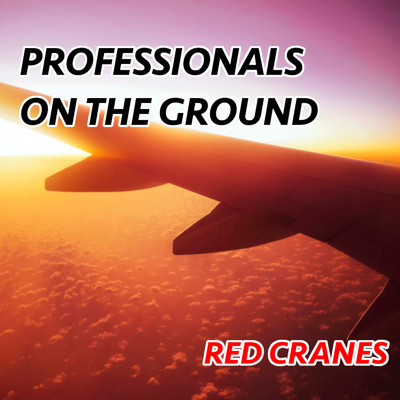 PROFESSIONALS ON THE GROUND/RED CRANES